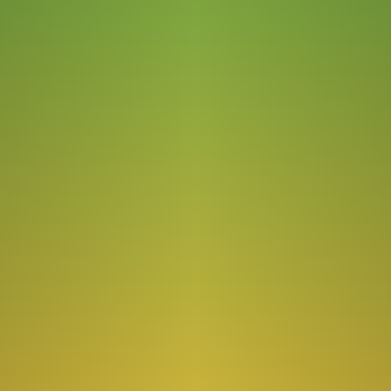 G9 Cavendish Banana