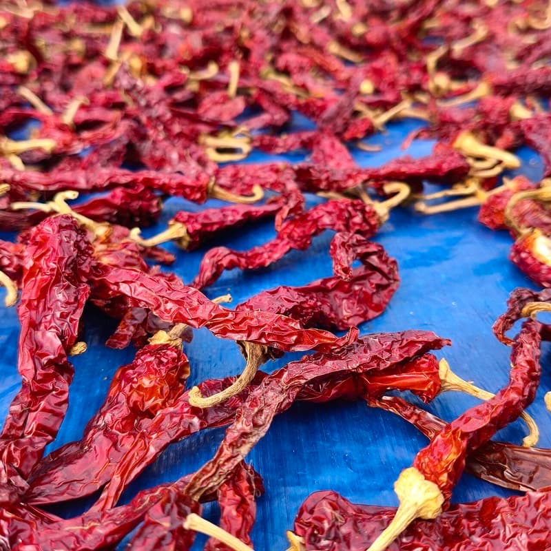 Dry red chilli spread out to sun-dry at origin