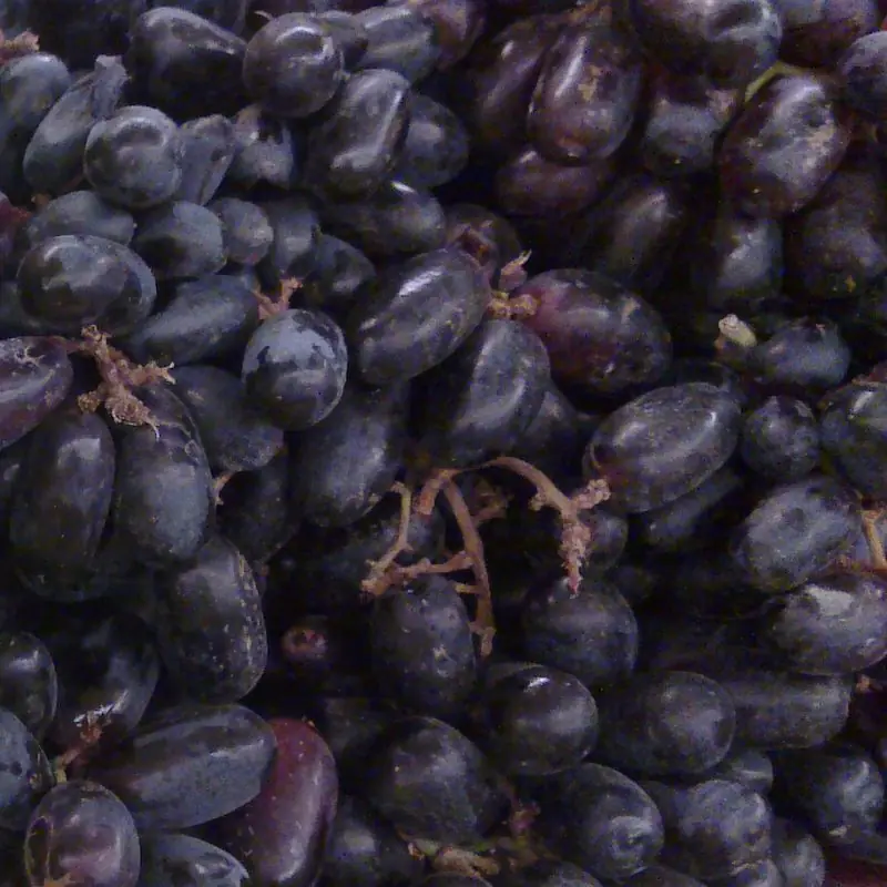 Black Seedless Grapes